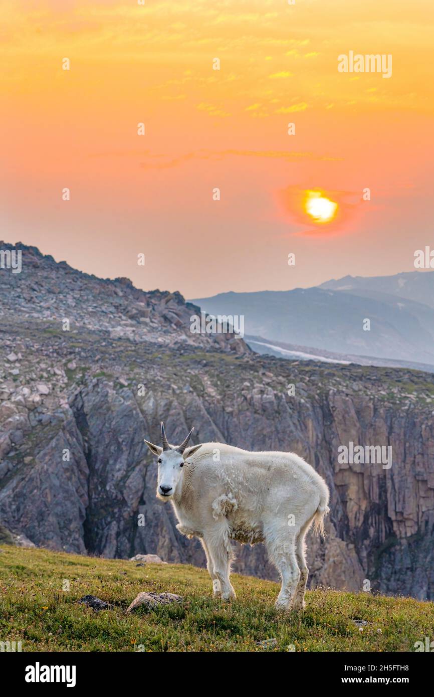 Bergspitze bei Sonnenuntergang Stockfoto