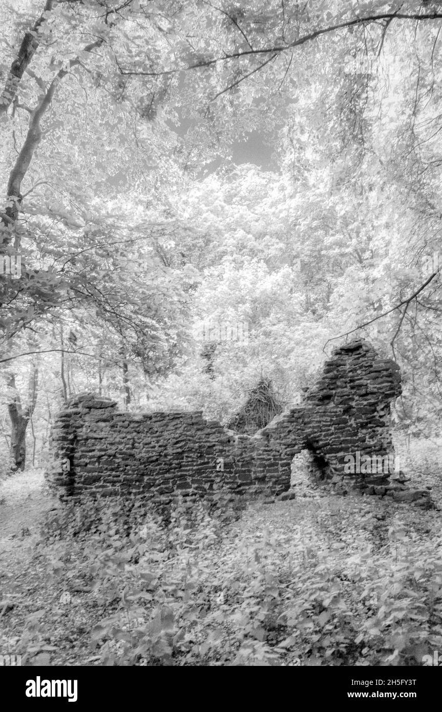 Schwarz-Weiß-Infraroteffekt eines alten zerstörten Gebäudes, das im Wald von Norfolk verloren gegangen ist. Stockfoto