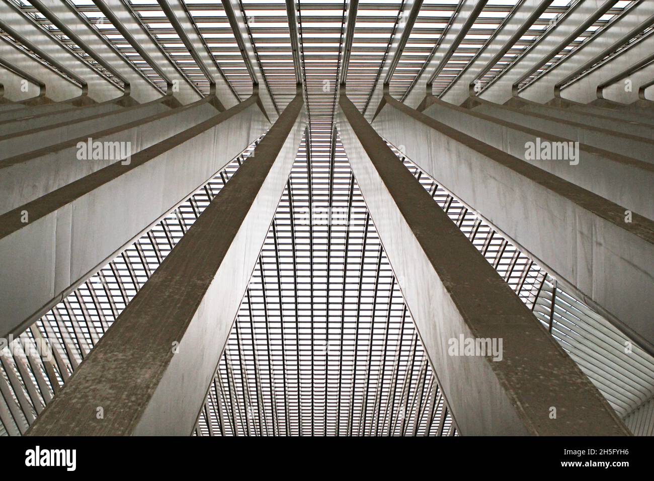 Abstrakte, grafische Dachstruktur mit zahlreichen Strichen und Fenstern des Bahnhofs Bahnhof Liège-Guillemins, in Lüttich, Wallonie, Belgien. Stockfoto