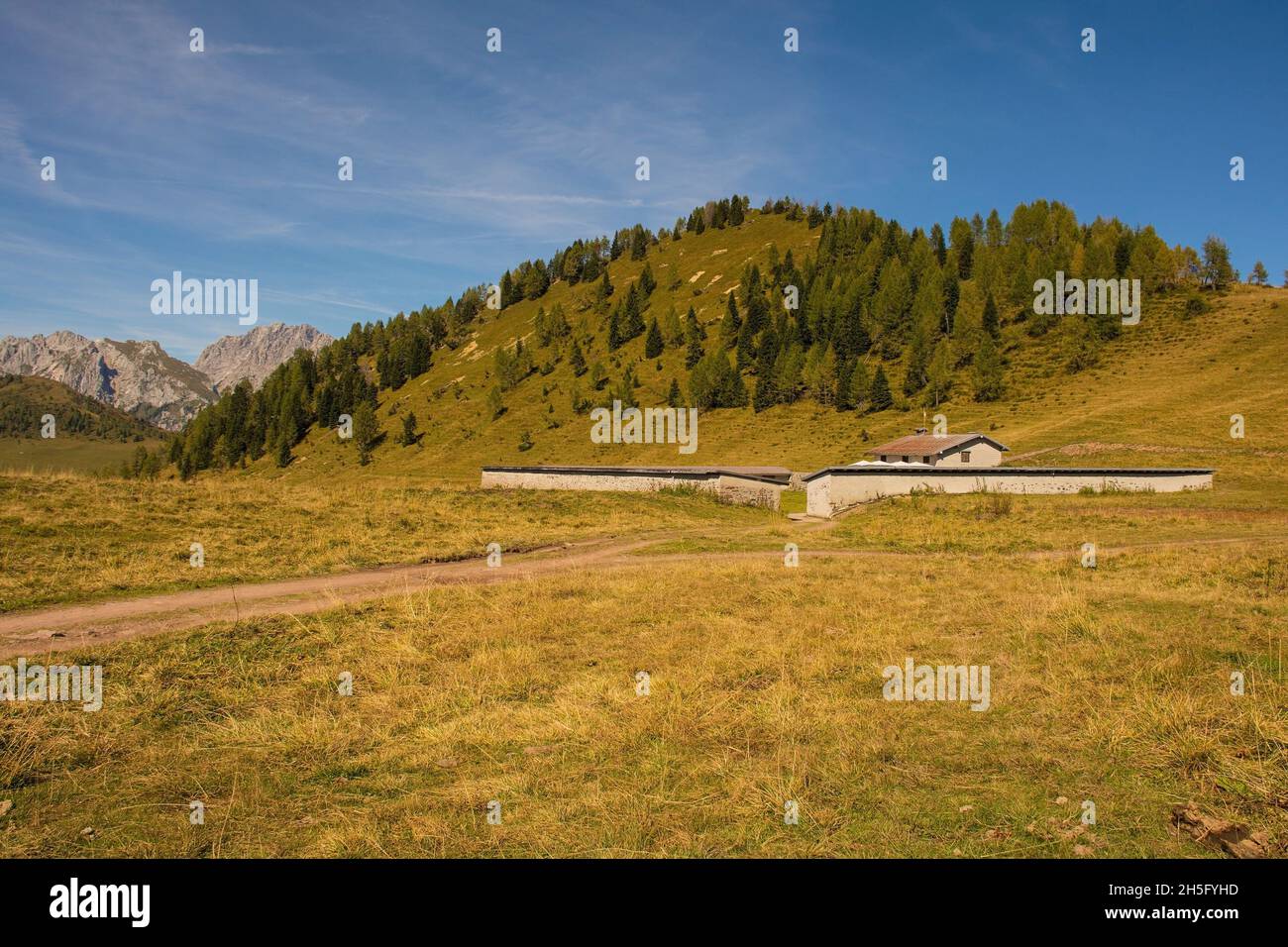 Ein Kuhschuppen-Gebäude auf der Bergwiese Laghi di Festons auf der Sella Festons bei Sauris di Sopra, Provinz Udine, Friaul-Julisch Venetien, Nordostitalien. Stockfoto