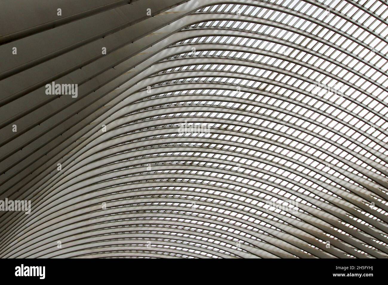 Abstrakte, grafische Dachstruktur mit zahlreichen Strichen und Fenstern des Bahnhofs Bahnhof Liège-Guillemins, in Lüttich, Wallonie, Belgien. Stockfoto