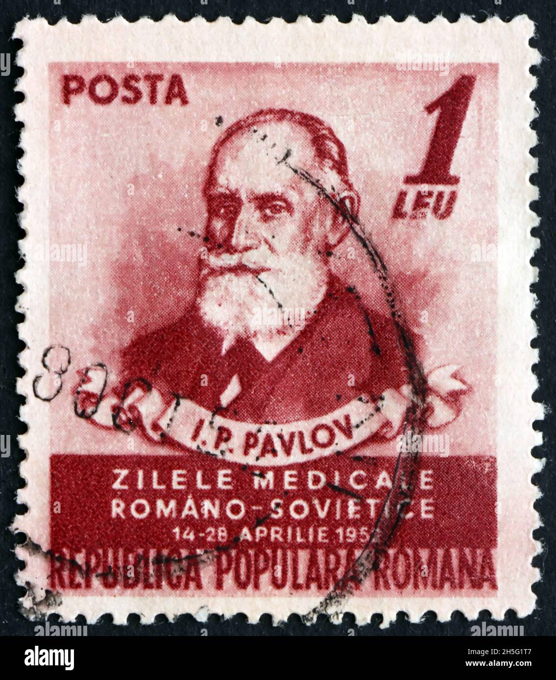 RUMÄNIEN - UM 1952: Eine in Rumänien gedruckte Briefmarke zeigt Ivan Petrovich Pavlov, den russischen Physiologen, der vor allem für seine Arbeit in klassischem Zustand bekannt ist Stockfoto
