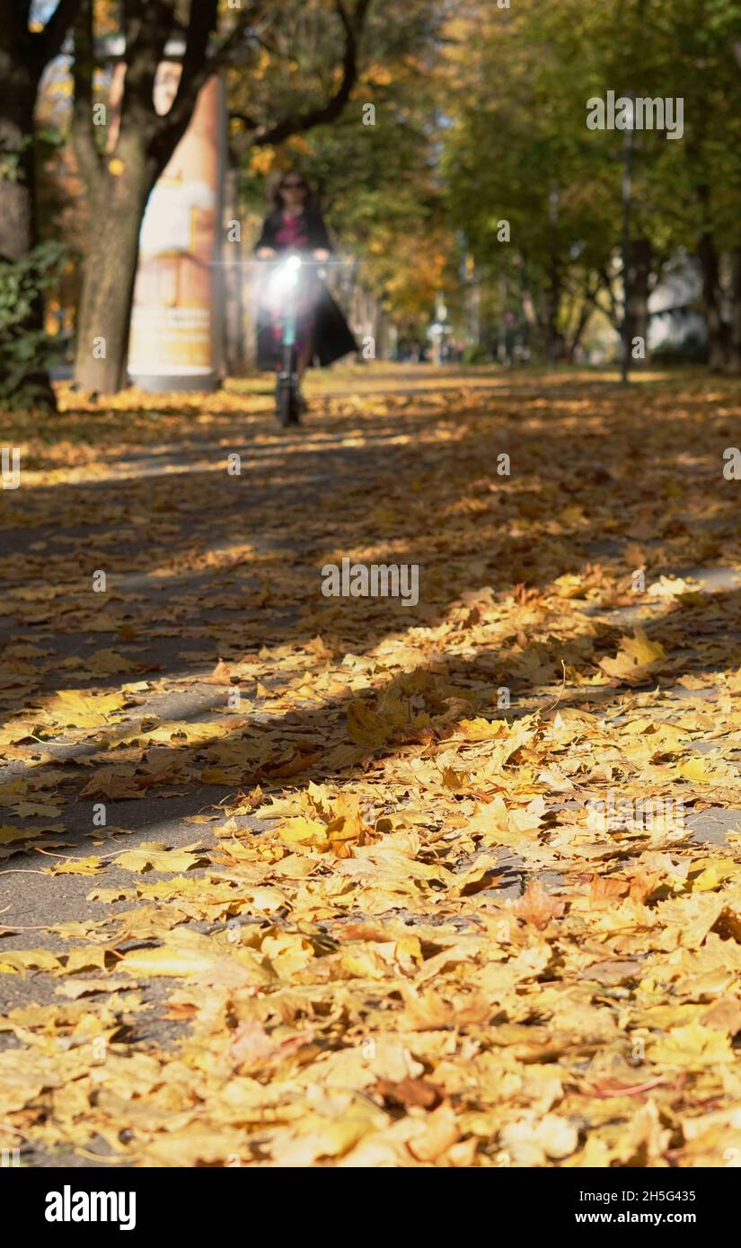 Roller auf einem Weg Stockfoto