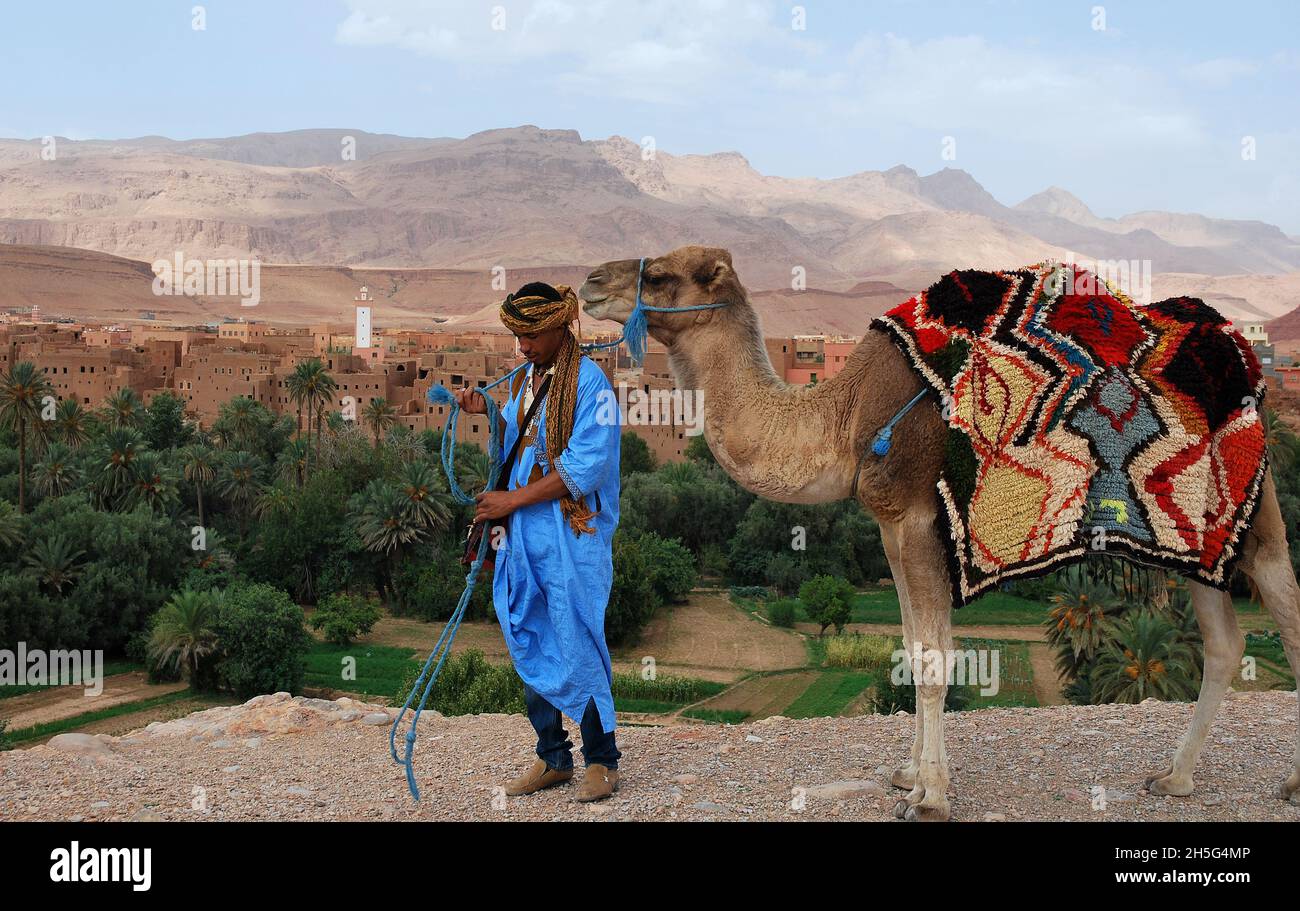 Der Tinghir-Palmenhain im Herzen des Todgha-Tals Stockfoto