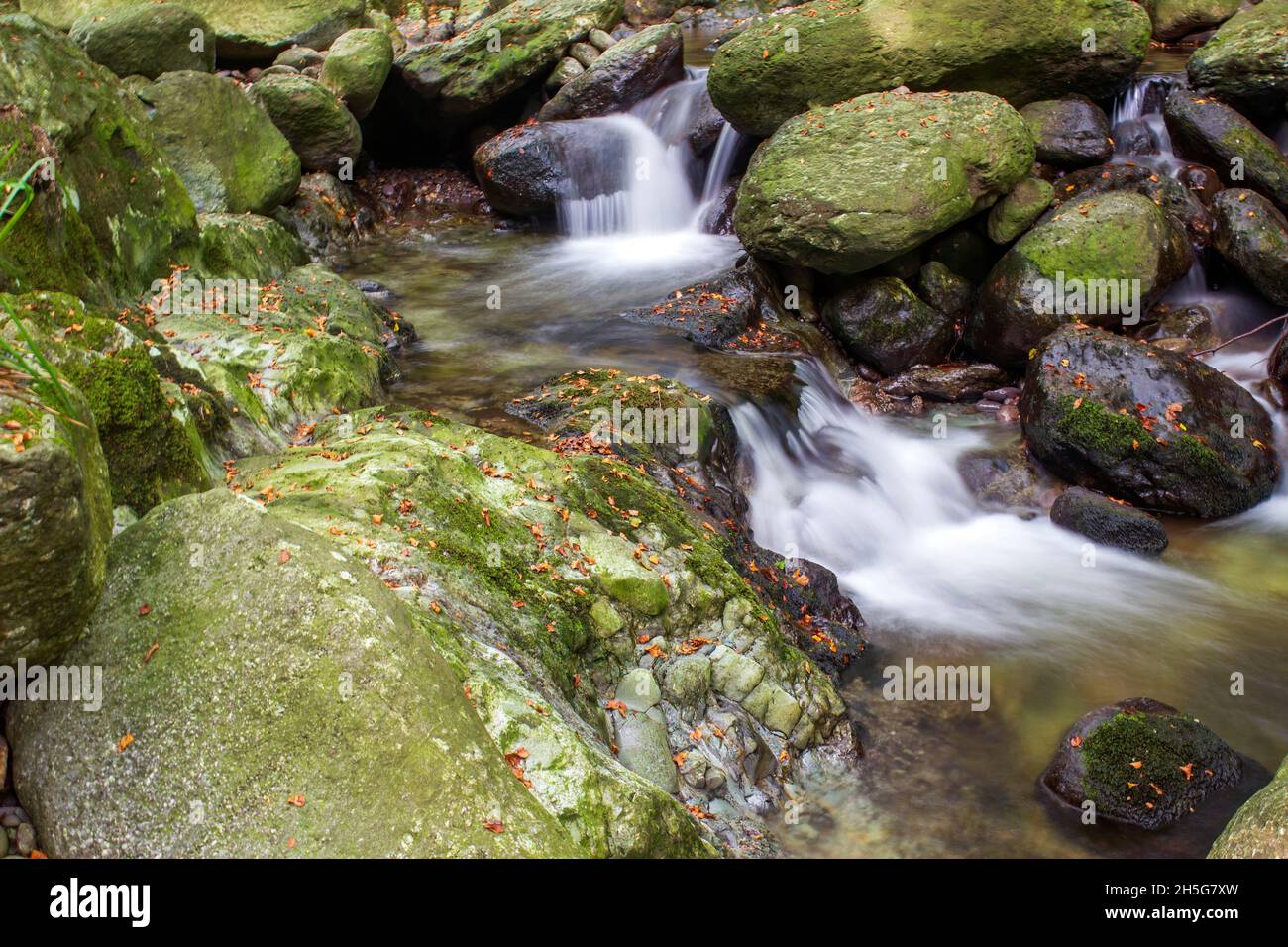 Bild eines kleinen Bergstroms, der zwischen großen Felsbrocken hinunterfließt. Stockfoto