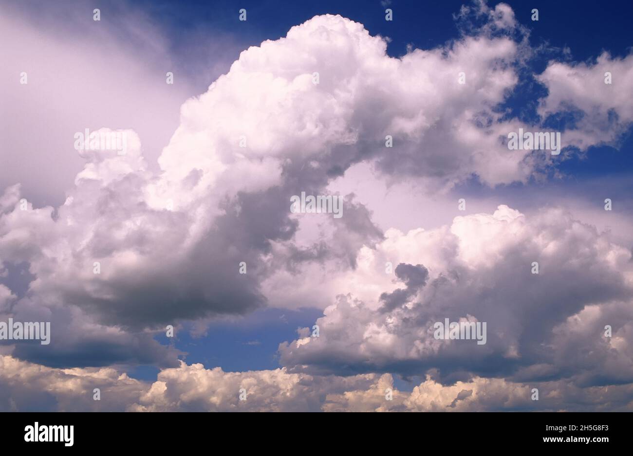 Cumulus-Wolken, Saskatchewan, Kanada Stockfoto