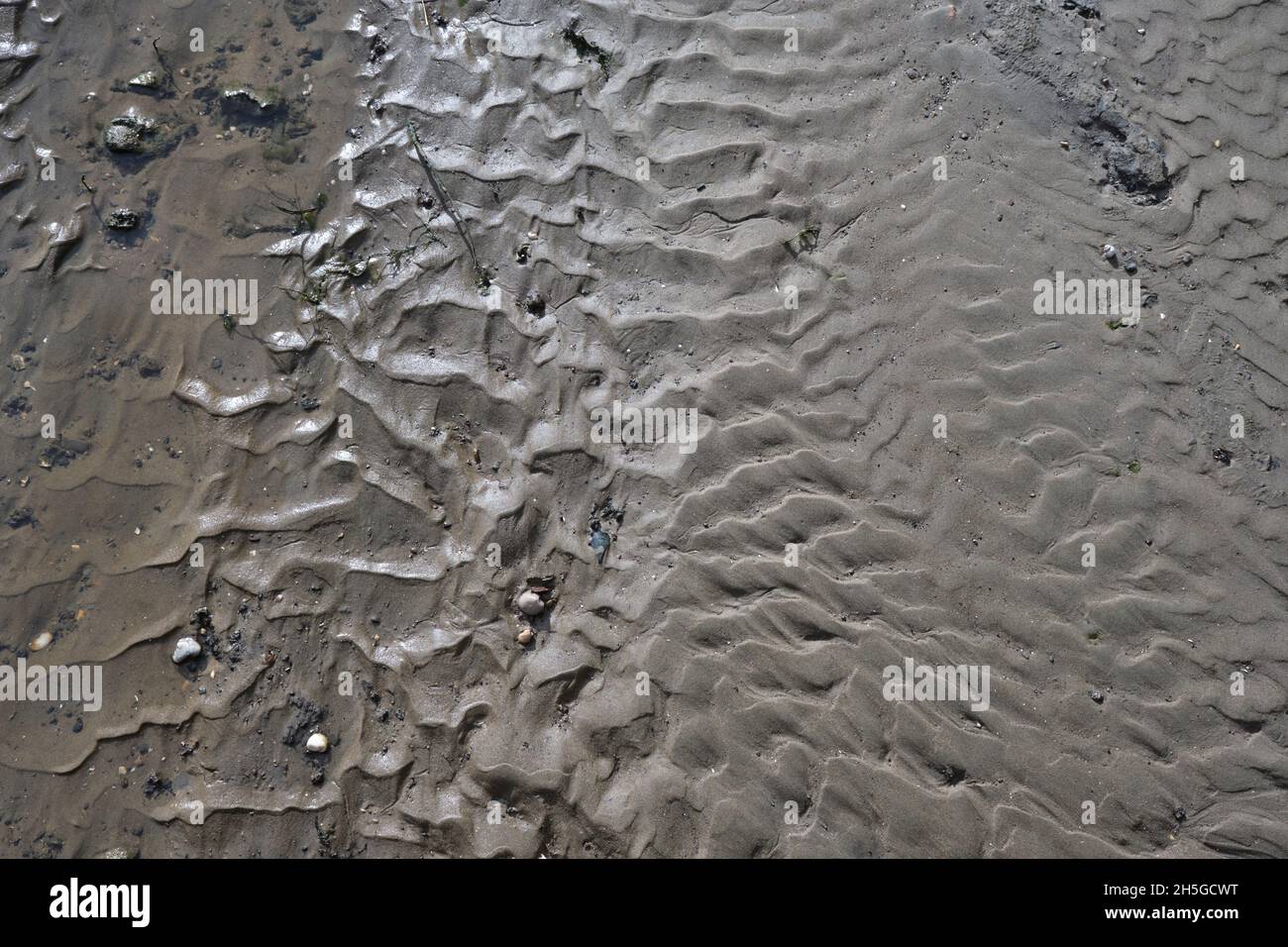 Natürliche strukturierte Oberfläche aus nassem Sand und kleinen Steinen an einem Strand in den niederlanden Stockfoto