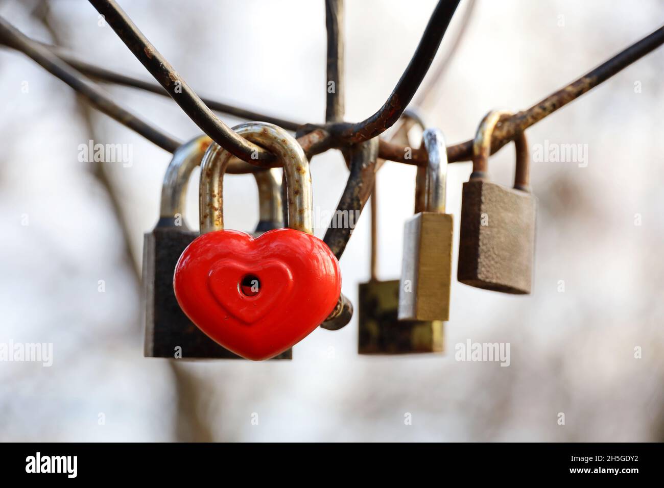 Herzförmiges Vorhängeschloss in einem Park. Schlösser hängen am Himmel Hintergrund, Symbol der ewigen Liebe Stockfoto