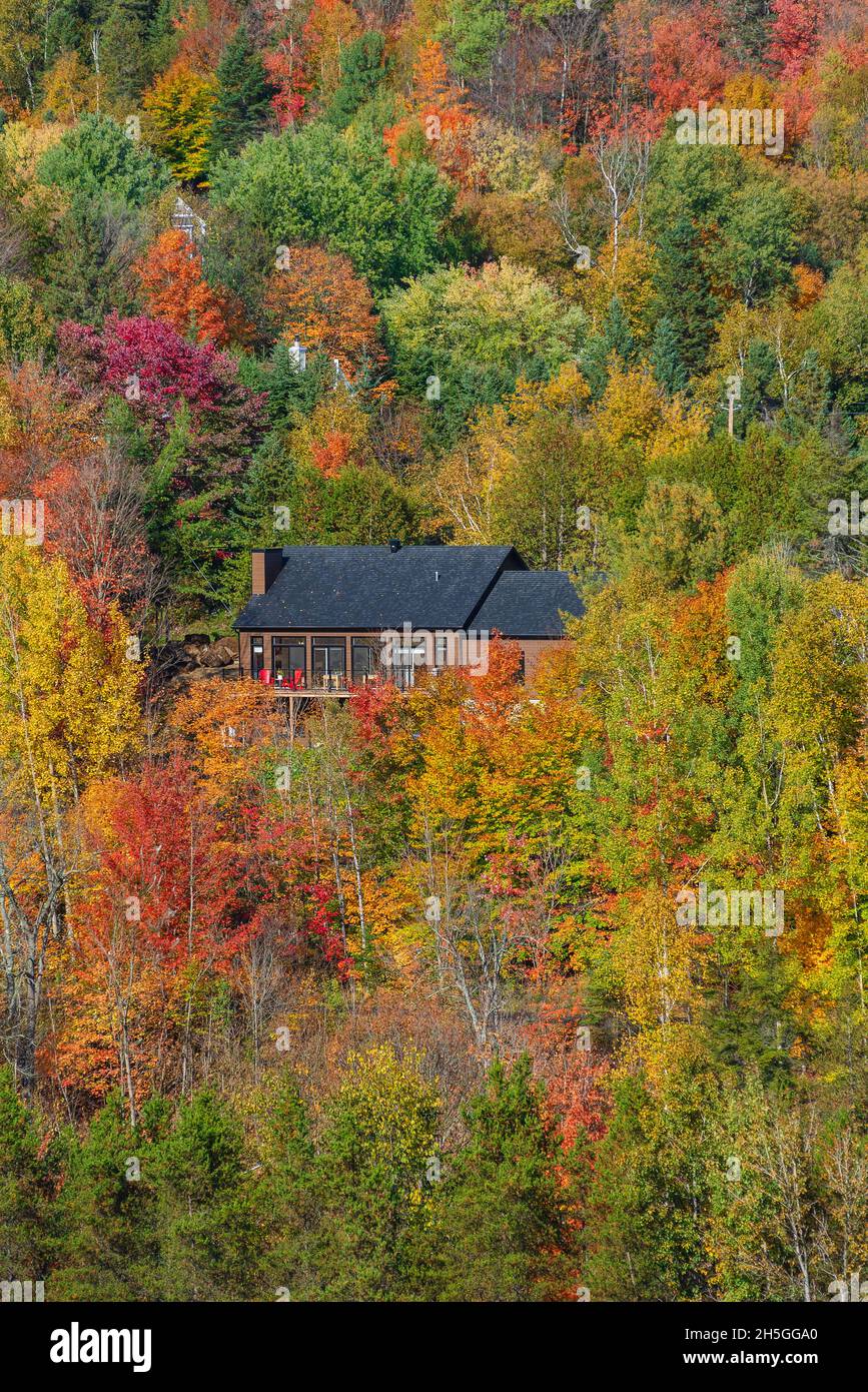 Haus auf dem Land, versteckt in herbstfarbenem Laub; Quebec, Kanada Stockfoto Haus auf dem Land, versteckt in herbstfarbenem Laub; Quebec, Kanada Stockfoto