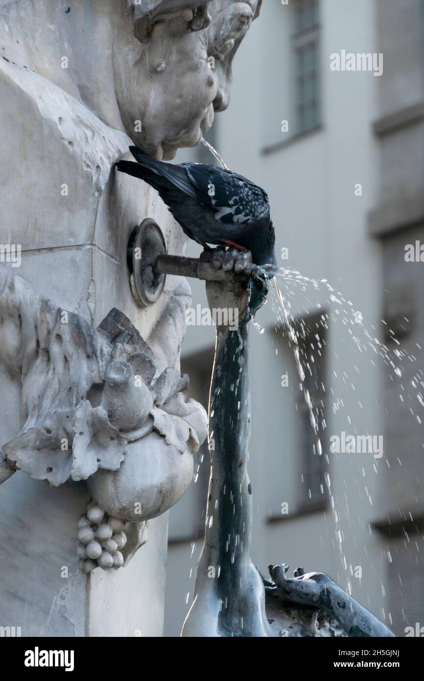 22. Mai 2019 München, Deutschland - Taubenwasser aus dem Brunnen am Marienplatz, Handelszentrum von München. Skulpturendetails Stockfoto