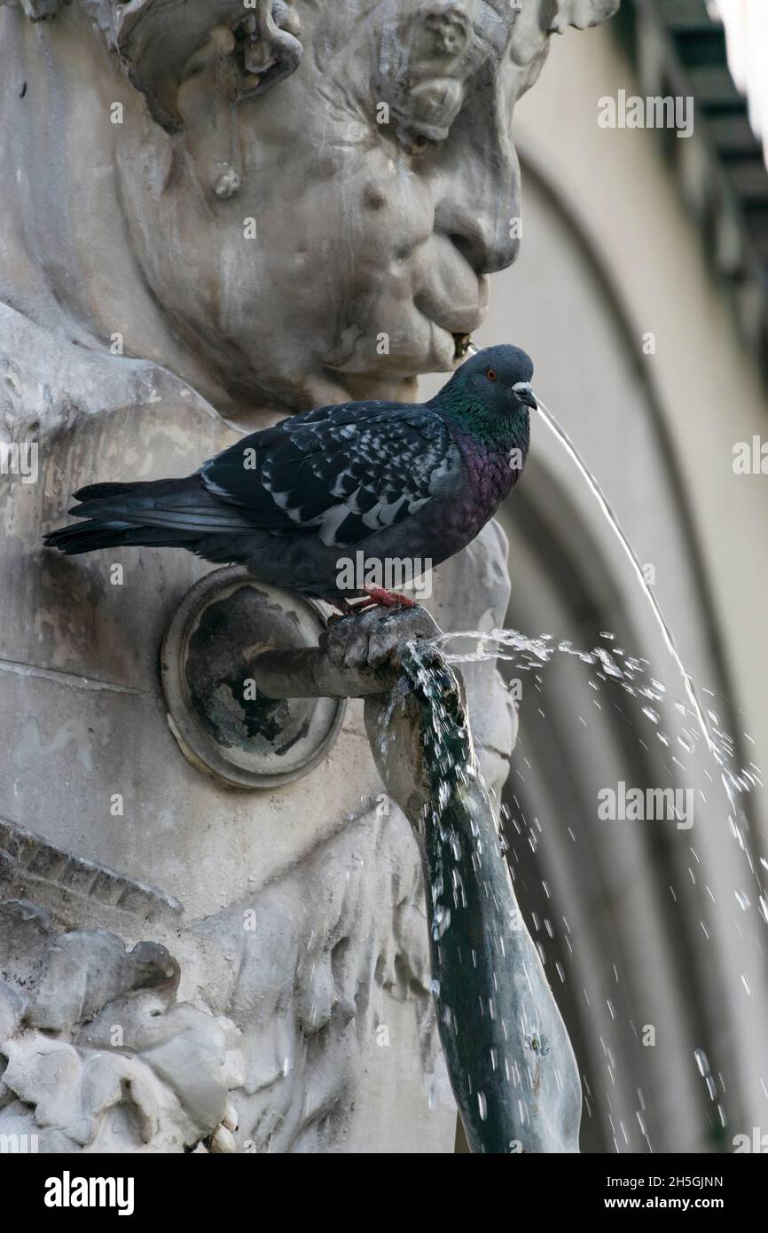 22. Mai 2019 München, Deutschland - Taubenwasser aus dem Brunnen am Marienplatz, Handelszentrum von München. Skulpturendetails Stockfoto