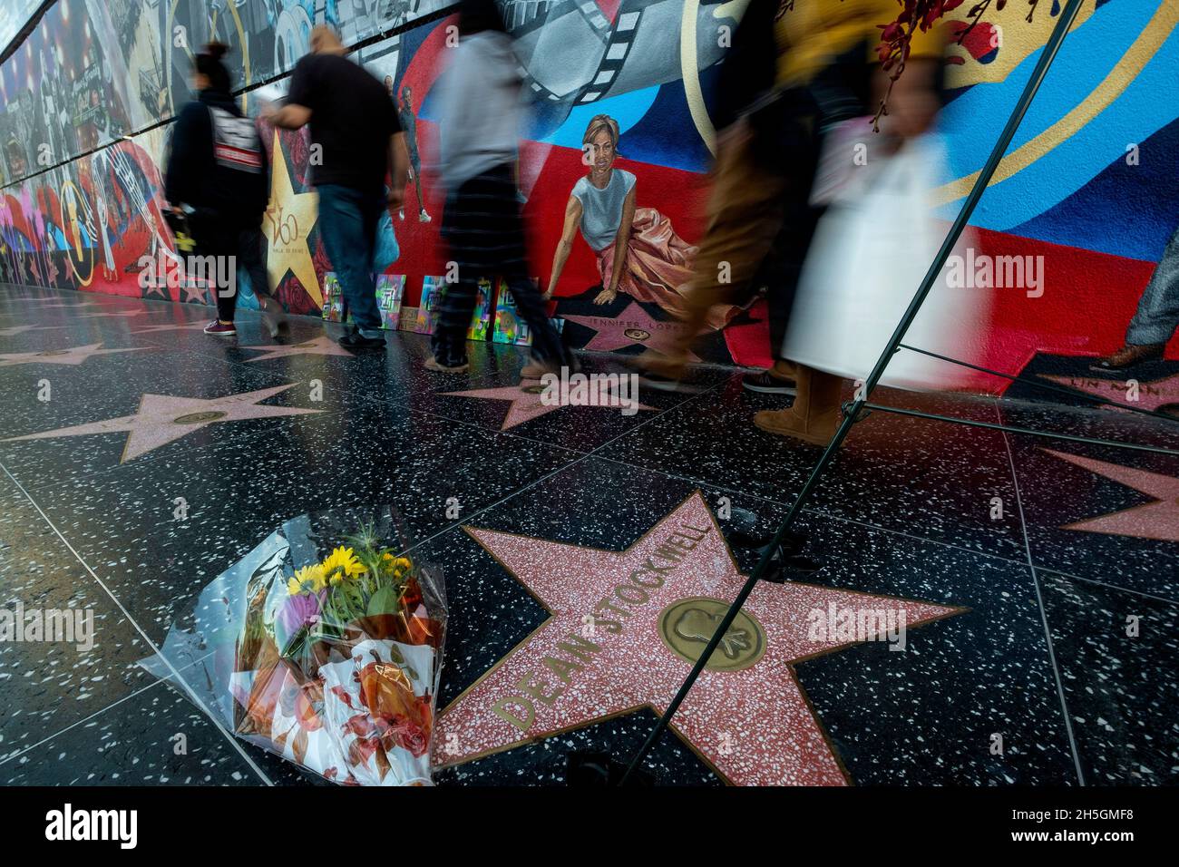 Los Angeles, Kalifornien, USA. November 2021. Blumen werden am Star des verstorbenen Schauspielers Dean Stockwell auf dem Hollywood Walk of Fame am Dienstag, den 9. November 2021 in Los Angeles platziert. Dean Stockwell, der für seinen Auftritt in ''Married to the Mob'' für einen Oscar nominiert wurde und vor allem für die Rollen in ''Blue Velvet''' und die TV-Serie ''Quantum Leap'' bekannt ist. Stockwell sei am Sonntag in seinem Haus in Hollywood an natürlichen Ursachen gestorben, so sein Publizist. Er war 85 Jahre alt. (Bild: © Ringo Chiu/ZUMA Press Wire) Stockfoto