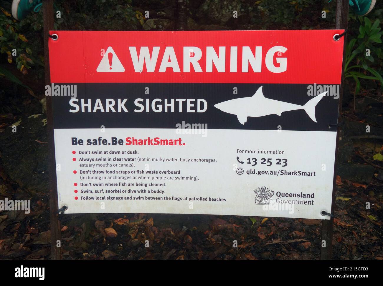 Warnschild zur Shark Sichtung, Cid Harbour, Whitsunday Islands, Queensland, Australien. Keine PR Stockfoto