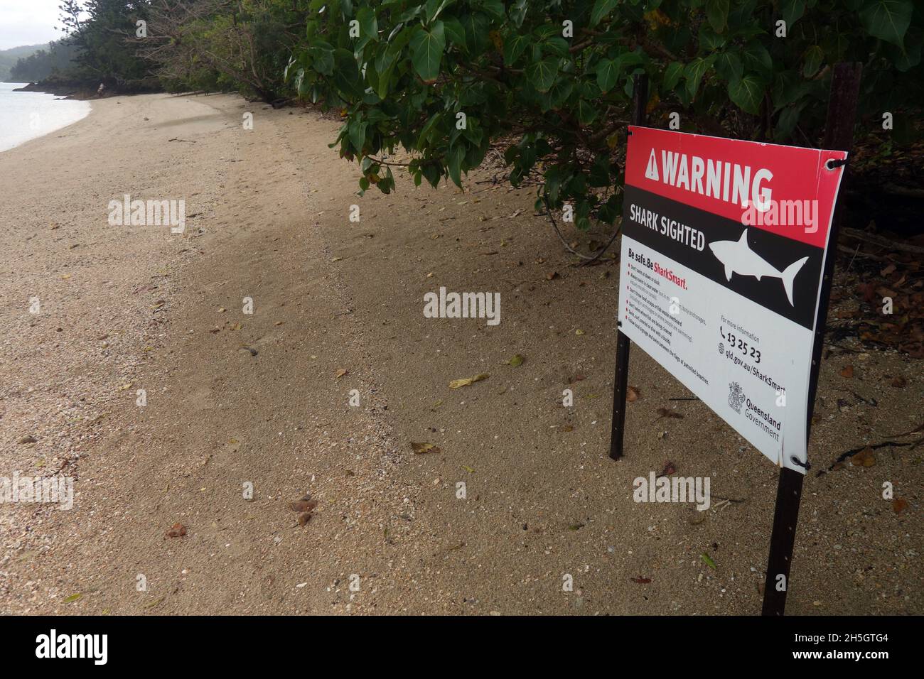 Warnschild zur Shark Sichtung, Cid Harbour, Whitsunday Islands, Queensland, Australien. Keine PR Stockfoto