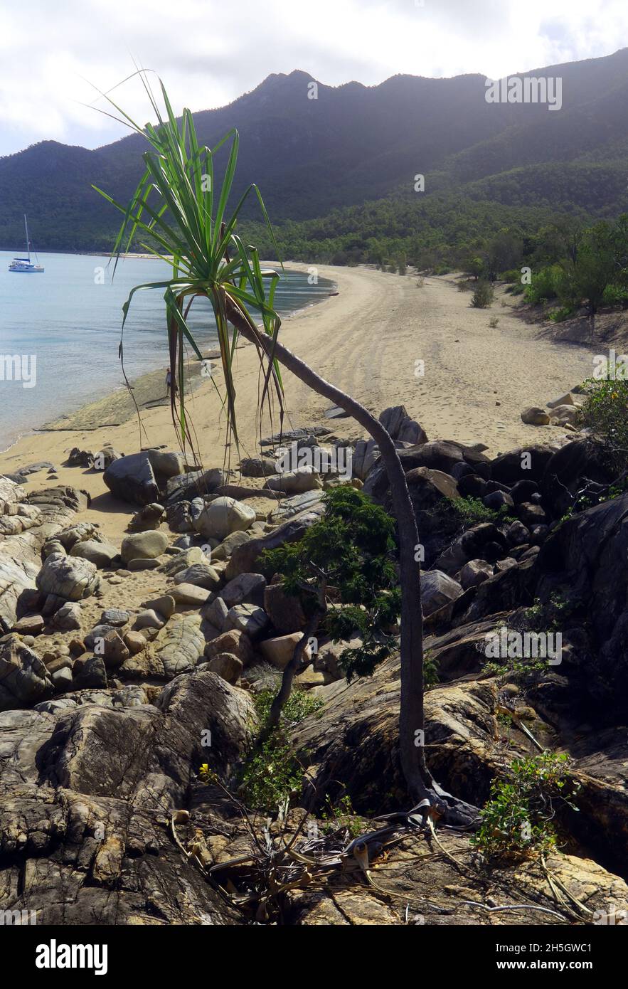 Blick auf den Strand von Bona Bay, den Gloucester Island National Park, die Whitsunday Islands, in der Nähe von Bowen, Queensland, Australien. Stockfoto