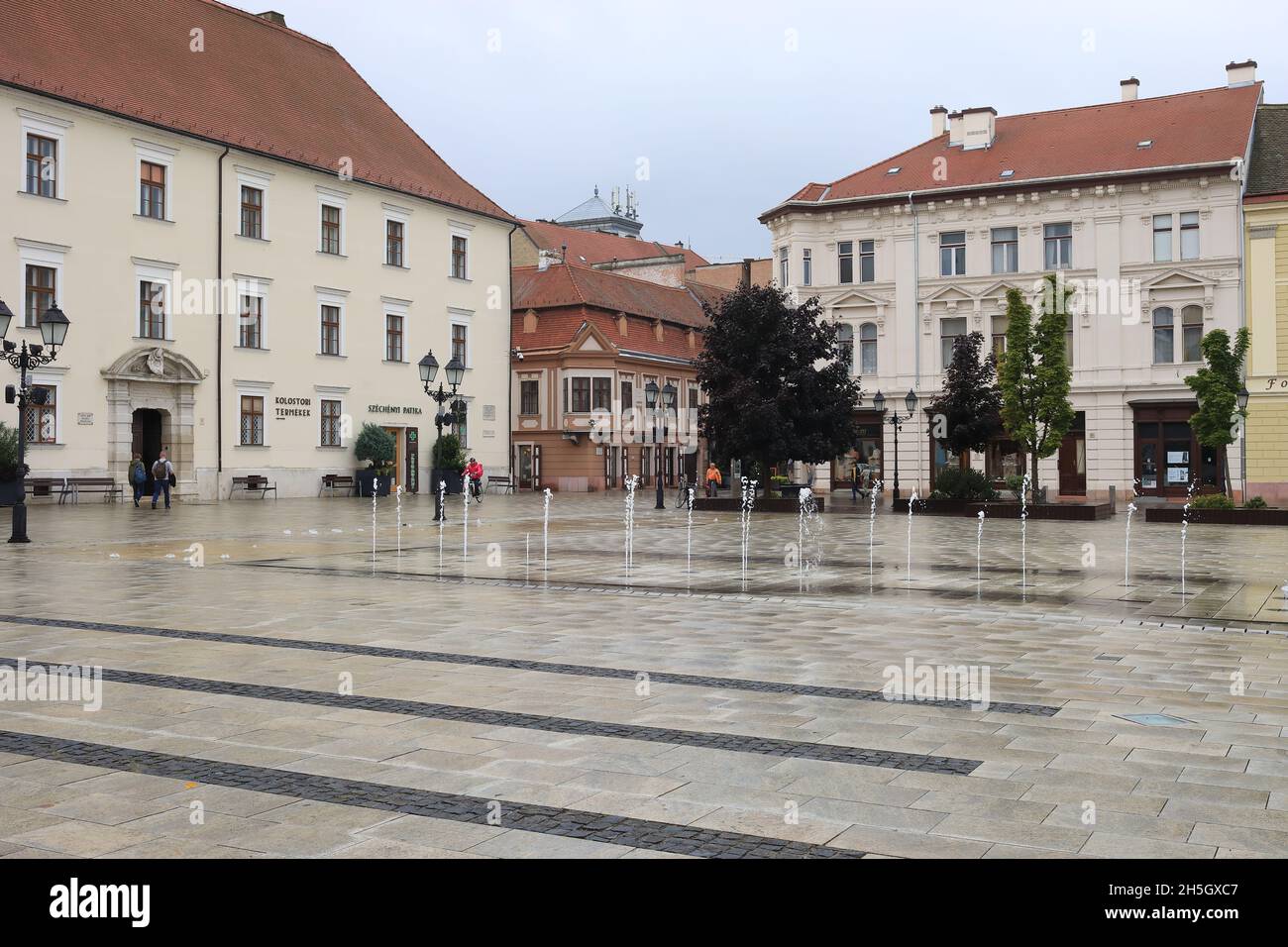 Besuch Von Győr Stockfoto