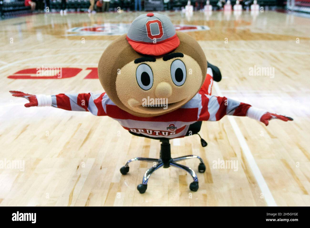 Columbus, Ohio, USA. November 2021. Brutus the Buckeye tritt vor dem Ohio State auf, der Akron in seinem Spiel in Columbus, Ohio, spielt. Kredit: csm/Alamy Live Nachrichten Stockfoto