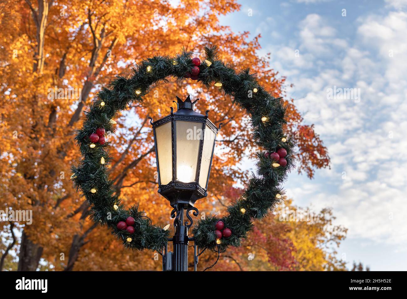 Weihnachtslichter und -Dekorationen im North Hill Park in Burlington, Iowa, mit Bäumen im November, die normalerweise einen Monat früher Blätter abgeworfen hätten Stockfoto