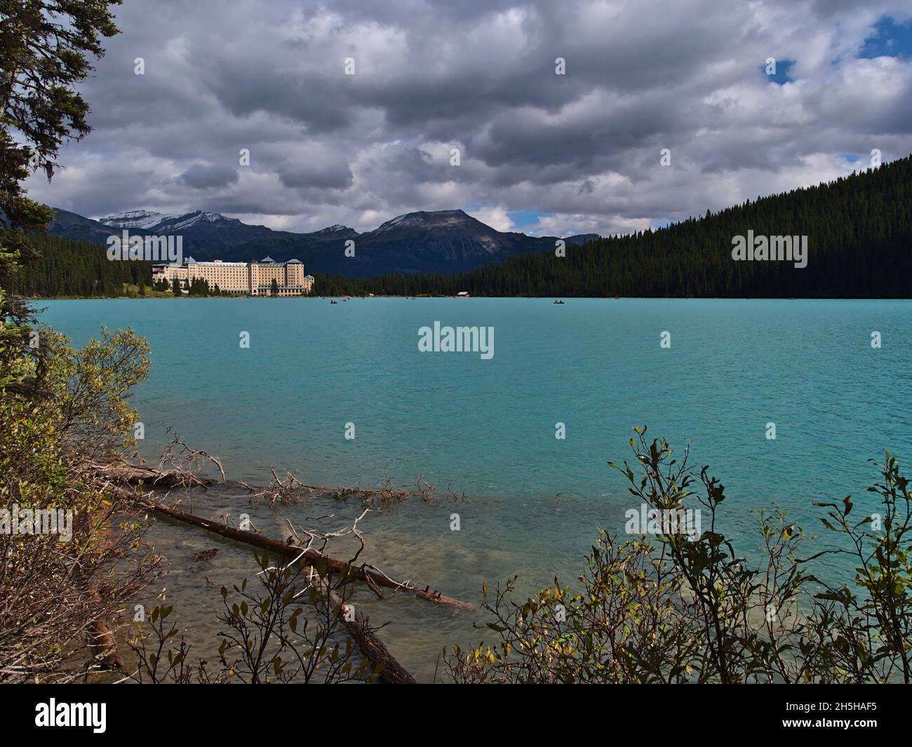 Blick auf Lake Louise mit Treibholz im türkisfarbenen Wasser und berühmtem Hotel am Ufer der Rocky Mountains im Banff National Park, Kanada. Stockfoto