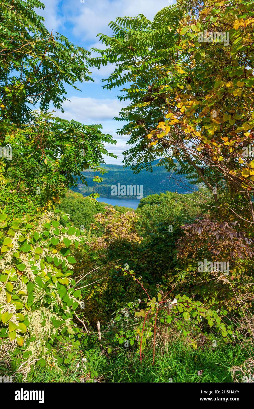 Blick auf das Hudson Valley und die Highlands durch üppige Vegetation, vom Aussichtspunkt auf der Route 9W auf dem Storm King Mountain. Cornwall, New York Stockfoto