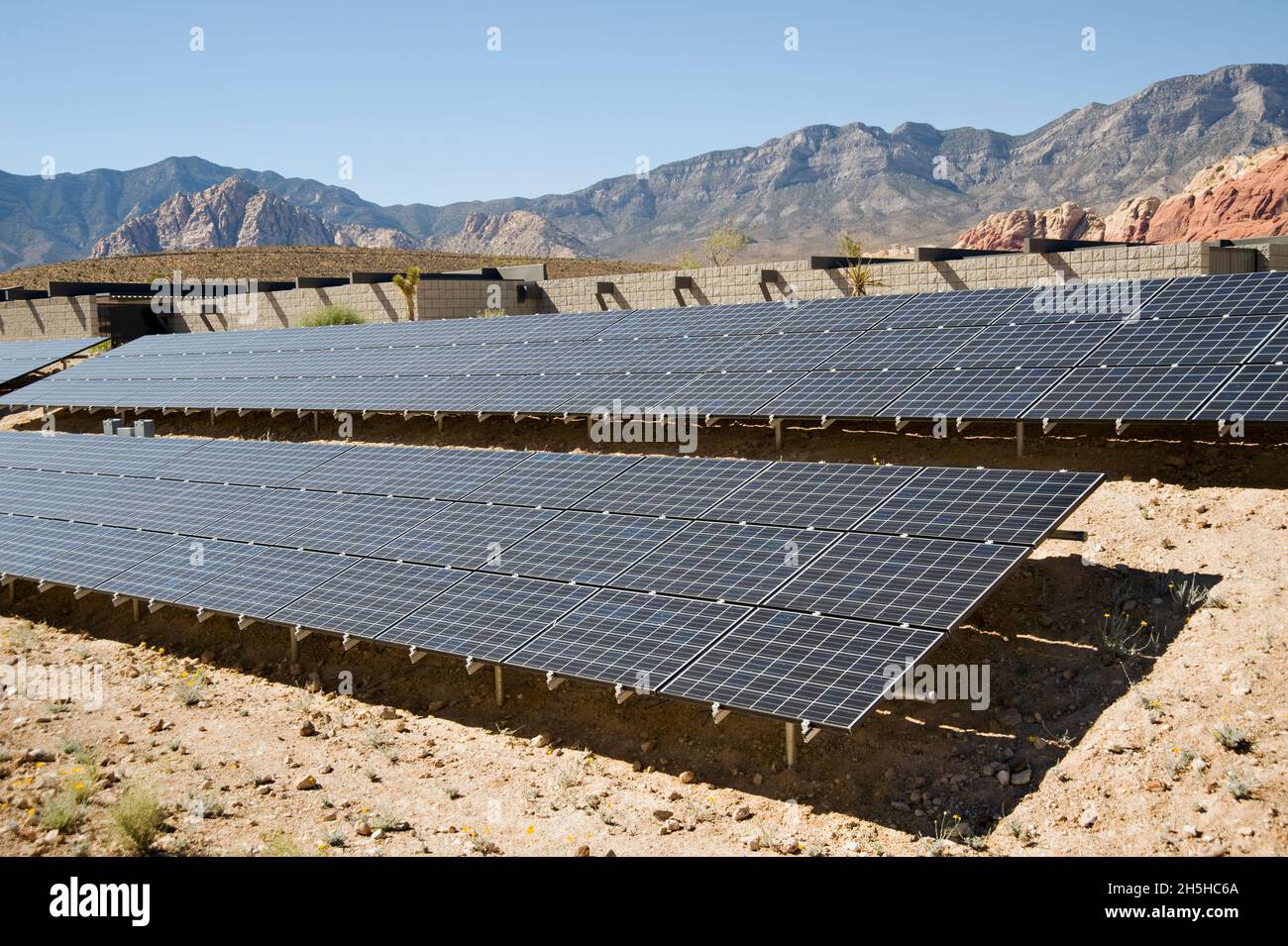 Sonnenkollektoren auf dem Wüstenboden im Wildnisgebiet des Red Rock Canyon National Park in der Nähe von Las Vegas, Nevada Stockfoto