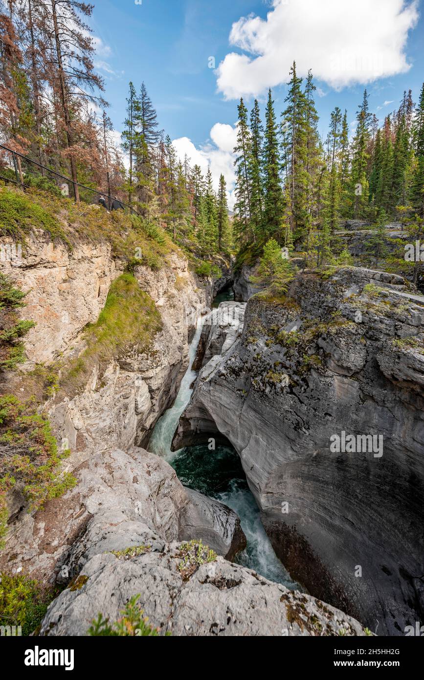 Maligne Canyon, Wildfluss fließt durch Schlucht, Jasper National Park National Park, Canadian Rocky Mountains, Alberta, Kanada Stockfoto