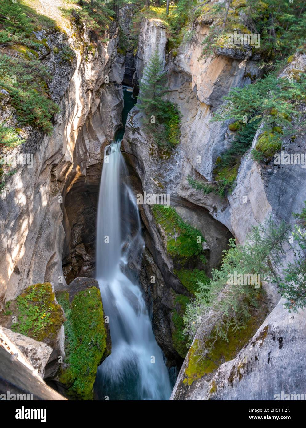Wasserfall in einer Schlucht, Maligne Canyon, wilder Fluss, der durch die Schlucht fließt, Jasper National Park National Park, Canadian Rocky Mountains, Alberta, Kanada Stockfoto