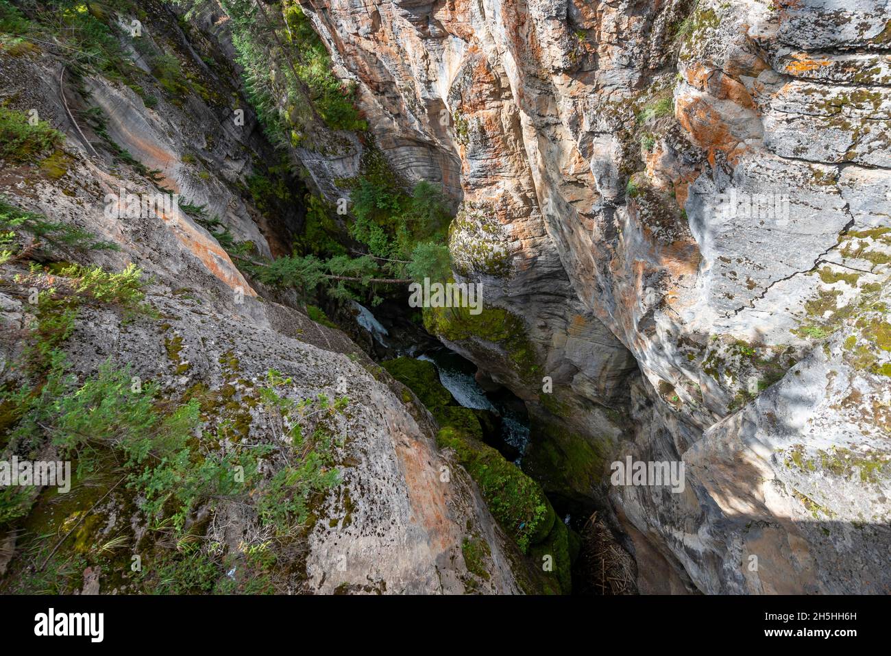 Maligne Canyon, Wildfluss fließt durch Schlucht, Jasper National Park National Park, Canadian Rocky Mountains, Alberta, Kanada Stockfoto