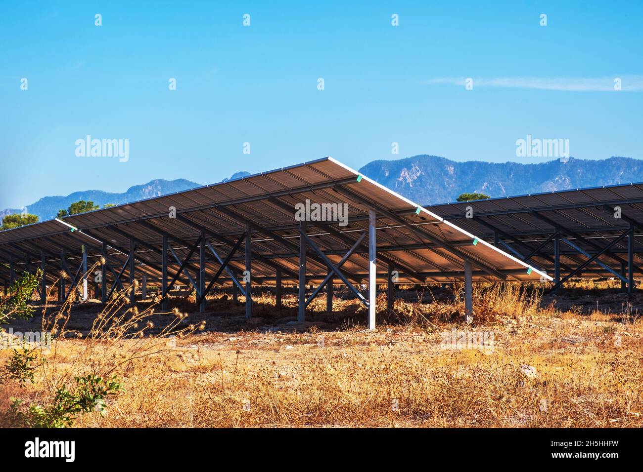 Ein Komplex von Sonnenkollektoren zur Stromerzeugung. Grüner Energiepark. Hintergrund mit Platz für Text oder Beschriftungen. Ökologisches Konzept. Stockfoto