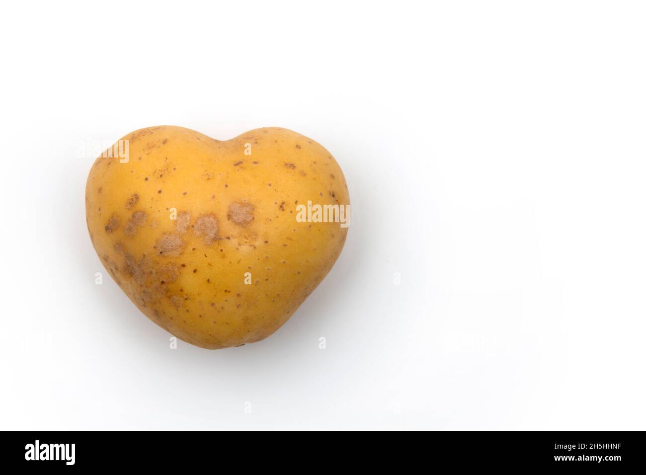 Herzförmige Kartoffel, Baden-Württemberg, Deutschland Stockfoto