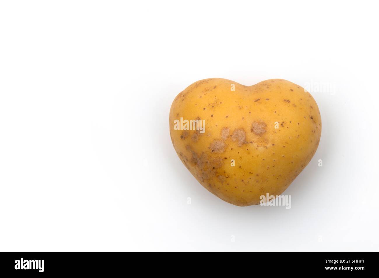 Herzförmige Kartoffel, Baden-Württemberg, Deutschland Stockfoto