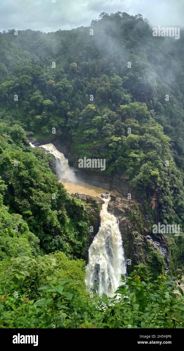 Magod Falls ist eine Gruppe von Wasserfällen in Karnataka, Indien, wo der Fluss Bedti in zwei Stufen aus einer Höhe von fast 200 Metern (660 Fuß) fällt Stockfoto