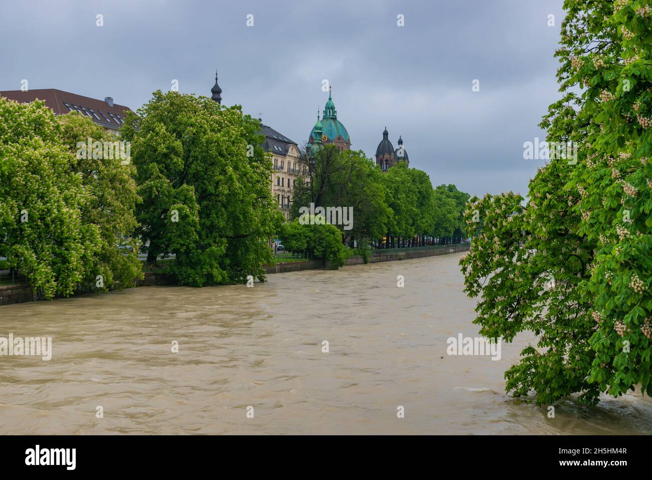 22. Mai 2019 - Isar während des Hochwassers. Blühende Kastanien im Frühling Stockfoto