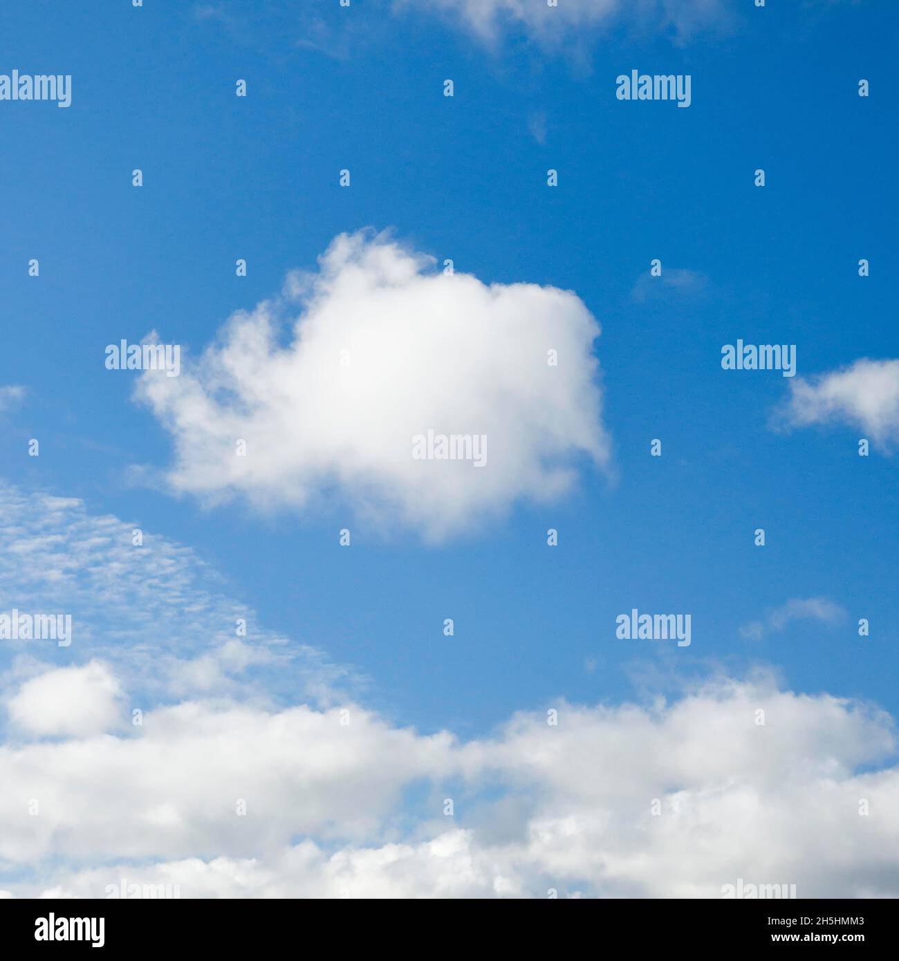 Schafe. Schleier- und (Cumulus-)Wolken schmücken den blauen Himmel bei starken Winden Stockfoto