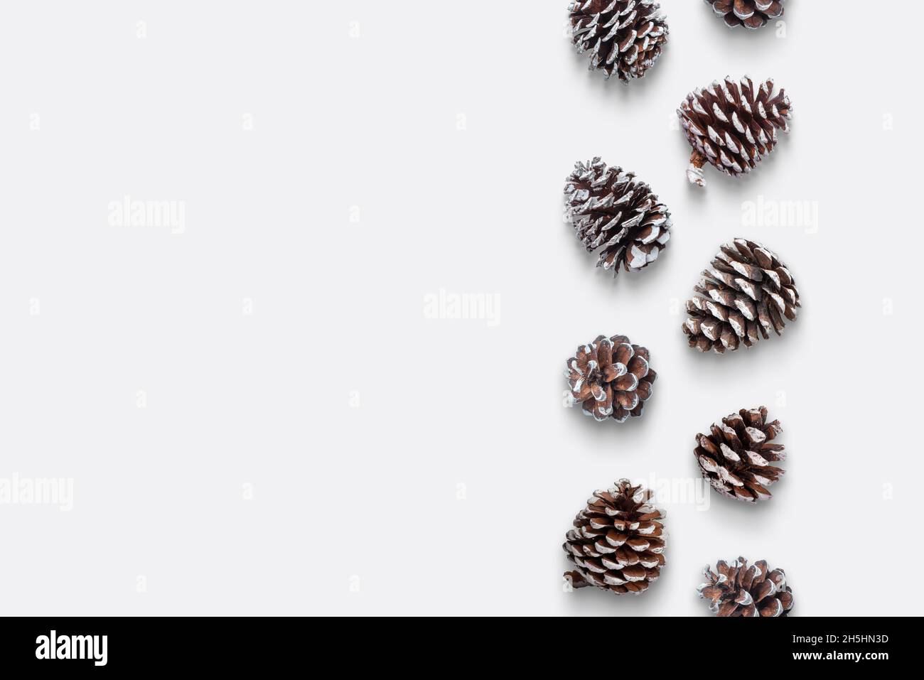 Kiefernzapfen in vertikaler Ausrichtung auf weißem Hintergrund. Weihnachtliche Draufsicht, flache Lay-Komposition mit Kopierfläche Stockfoto