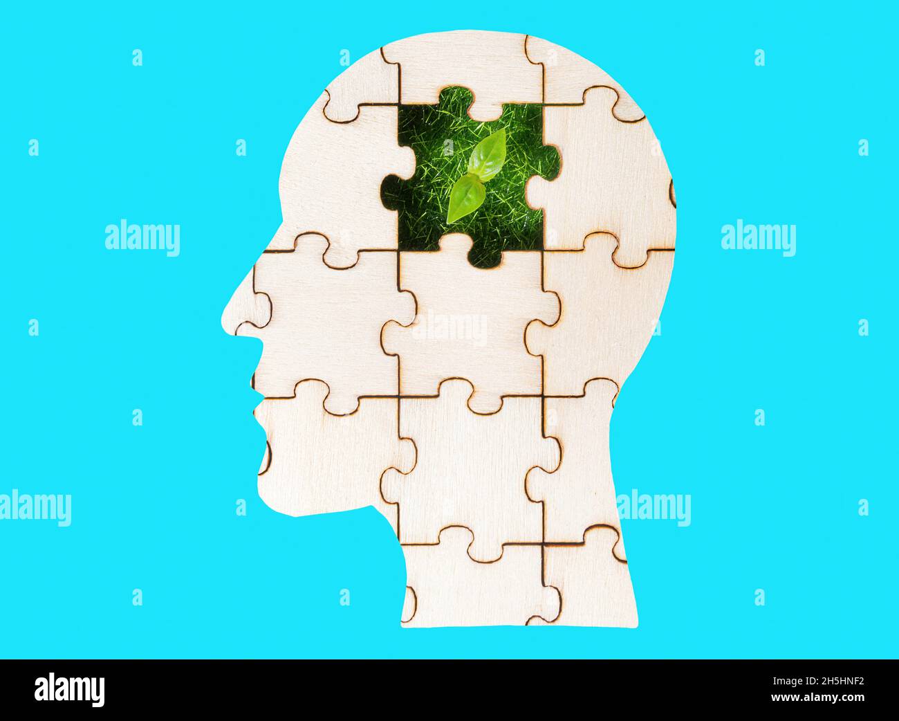 Menschliches Kopf-Puzzle mit einem grünen Sprossen kommt durch das fehlende Stück isoliert auf blauem Hintergrund. Ideen in den Kopf von jemandem Pflanzen. Stockfoto