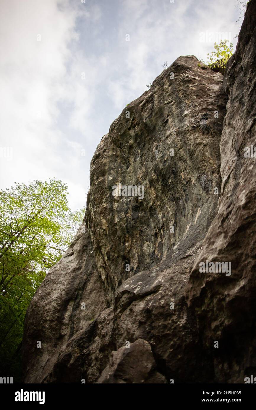 Hohe Felsformationen ragen aus den Bäumen Foto von unten | dramatische Ansicht hohe Felswand ragt über den Wald, beige Felsen mit dunklem Muster Stockfoto