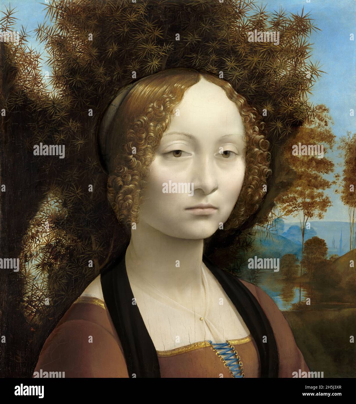 Leonardo da Vinci: Ginevra de' Benci Datum: (c. 1474 - 1478) Medium Oil on Panel Oil on Panel Dimensions Height: 427 mm (16.81 in); Width: 370 mm (14.56 in) Stockfoto