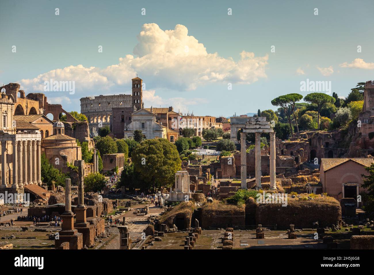 Blick vom Forum Romanum in Roma, Latium, Italien. Stockfoto