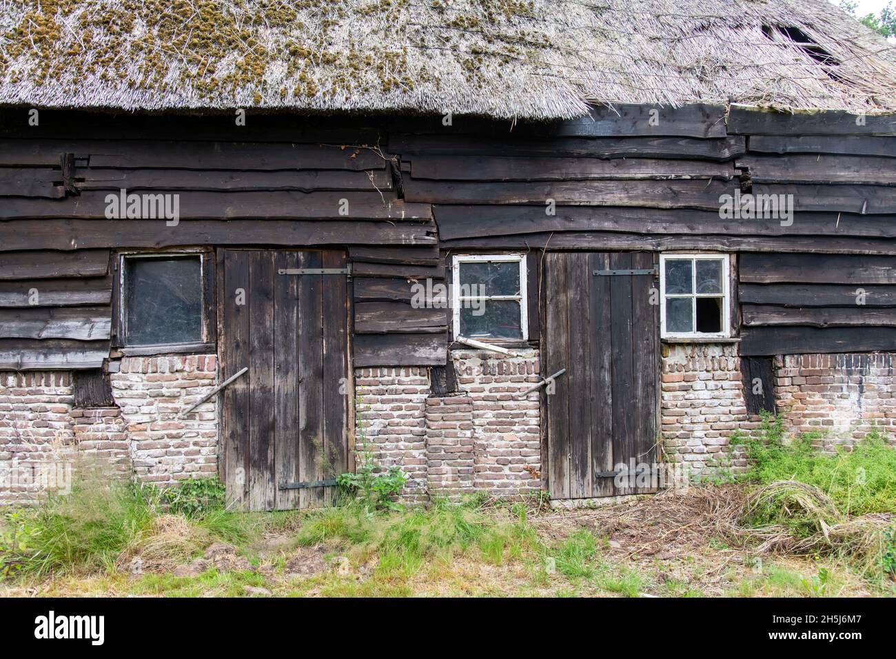 Blick auf verfallene und verlassene Scheune auf einem Bauernhof mit Reetdach und verwitterten Stallbrettern, Türen und Fenstern in der Landschaft der Niederlande Stockfoto