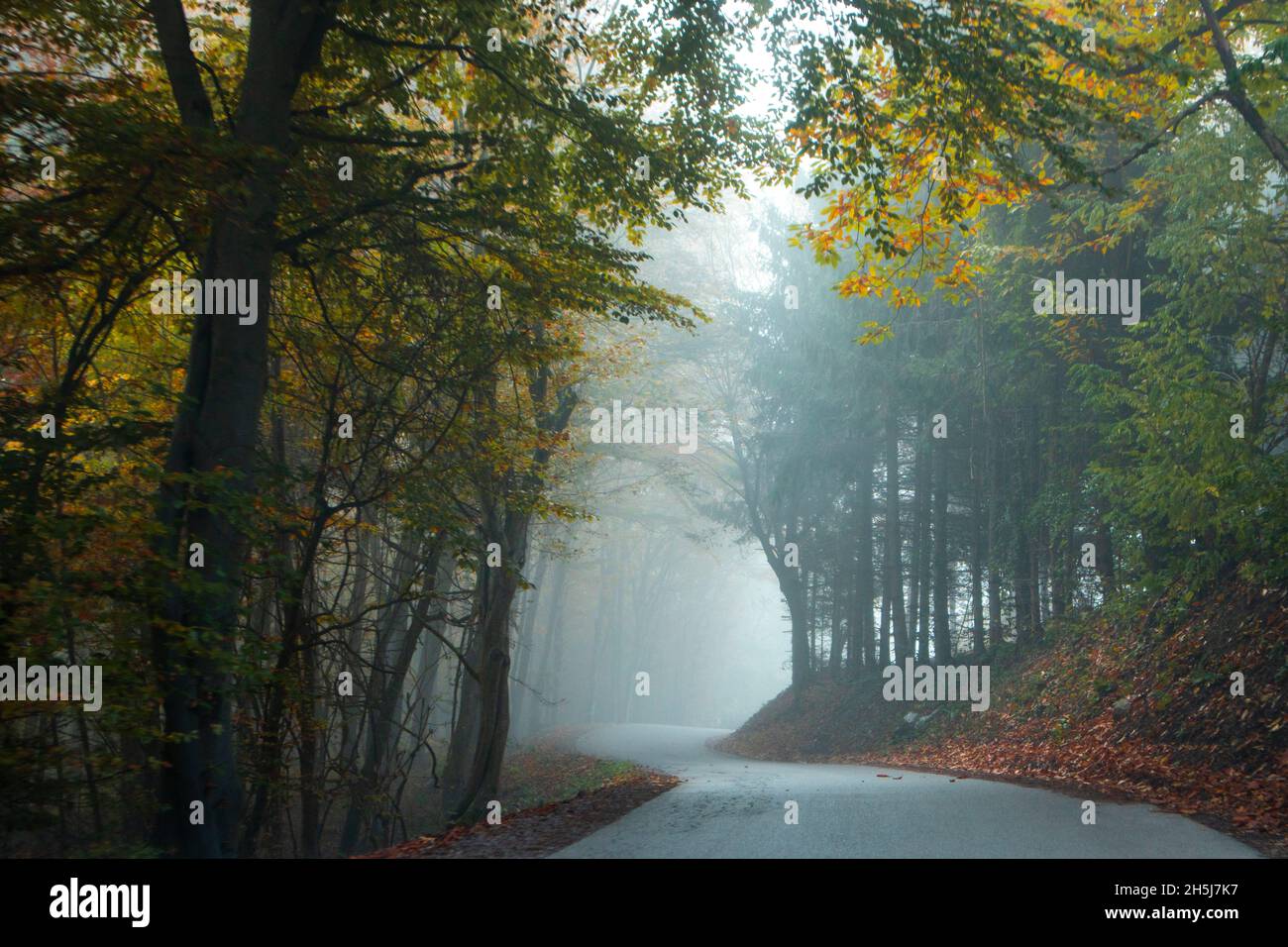 Neblige Morgen in den Bergen von Žumberak. Stockfoto