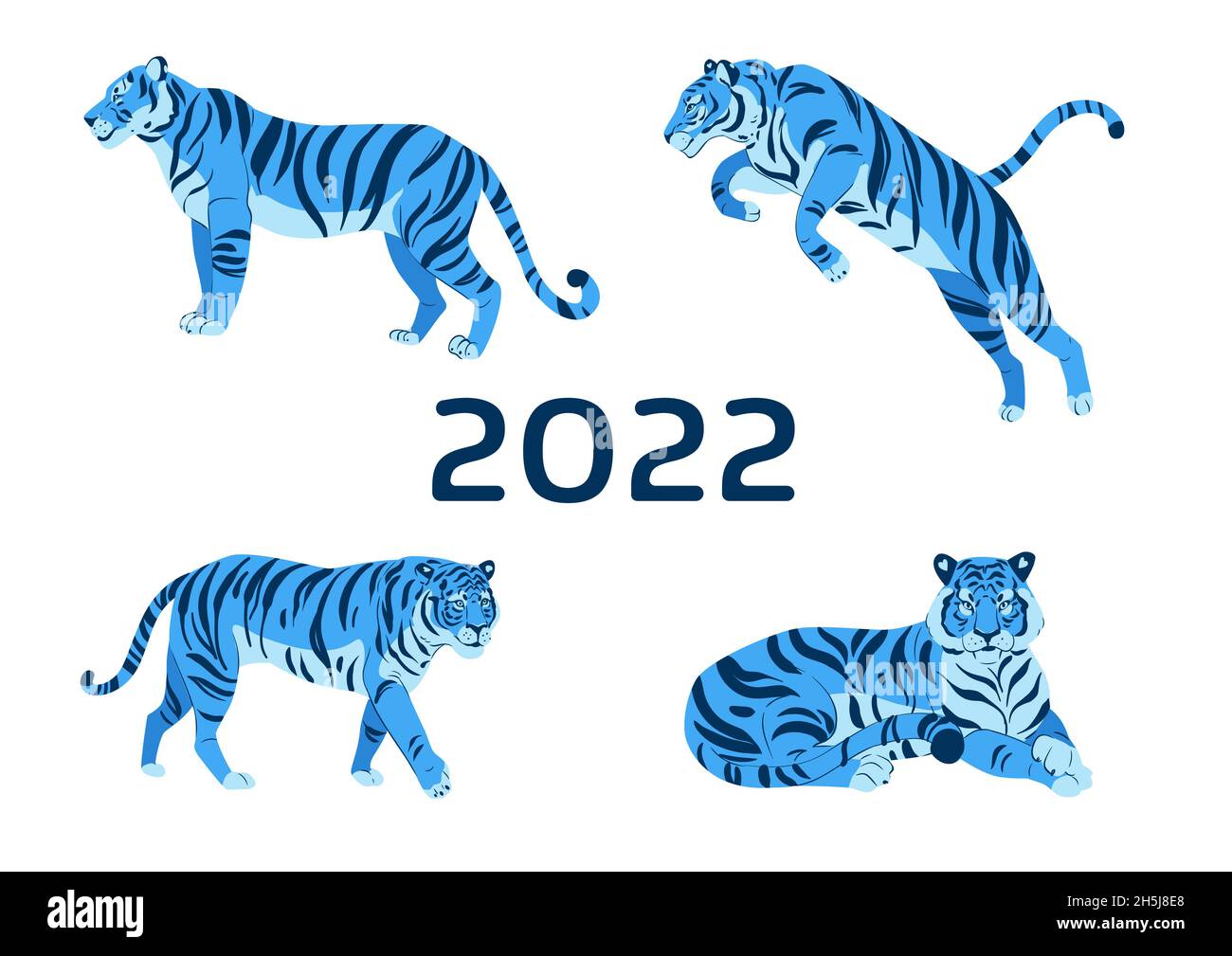 Set von Erwachsenen großen blauen Tiger Tierwelt und Fauna Thema Cartoon Tier Design flache Illustration isoliert auf weißem Hintergrund Stockfoto