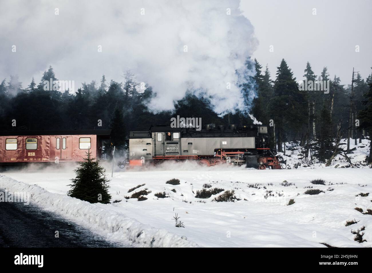 Schaurige Ansicht eines Zuges, der im Brocken durch einen Winterwald fährt HSB-Schmalspurbahn Harz, Deutsch Stockfoto