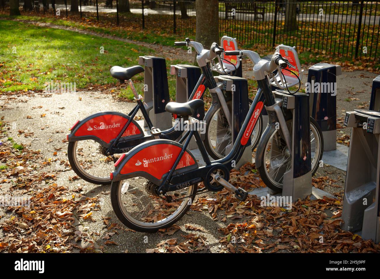 Santander sponserte Leihfahrräder in Holland Park, London, Großbritannien. Stockfoto