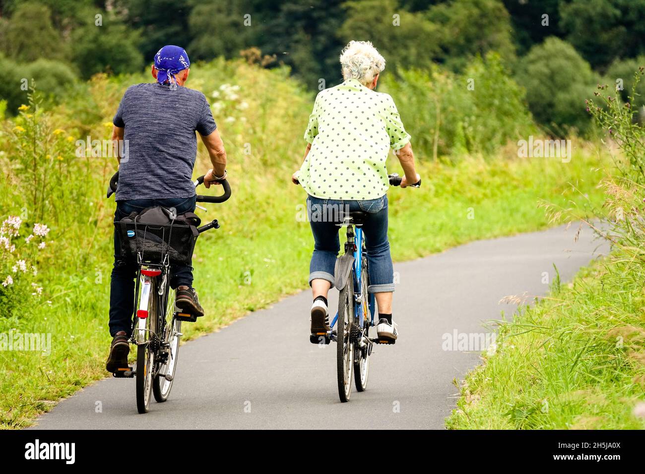 Seniorenpaar radeln auf dem Radweg, Radweg entlang der Elbe Deutschland Sachsen Naturlehrpfad Stockfoto