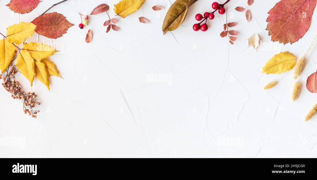 Flacher Lagenrahmen mit bunten Herbstblättern und Beeren auf weißem Hintergrund. Platz für Text. Hallo Herbstkonzept Stockfoto