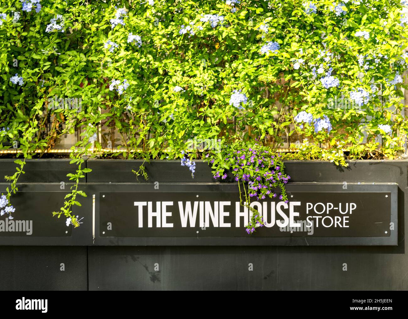 Schild für den Pop-up-Store des Weinhauses, Barcelona Stockfoto