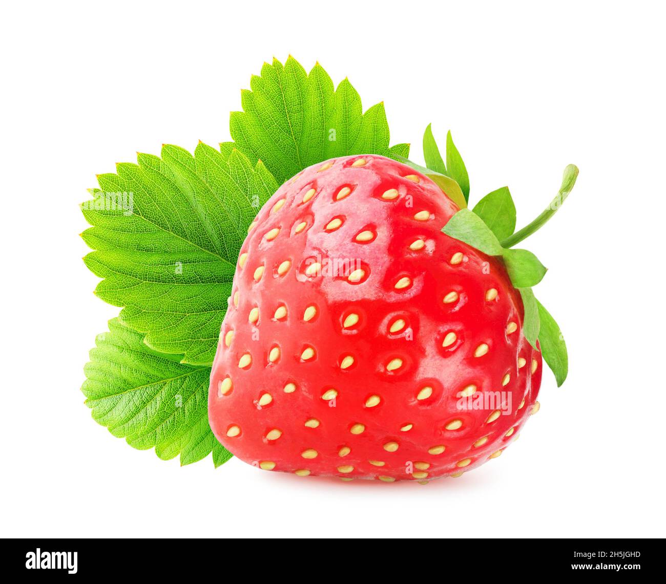 Isolierte Beere. Eine frische Erdbeere isoliert auf weißem Hintergrund mit Blatt Stockfoto