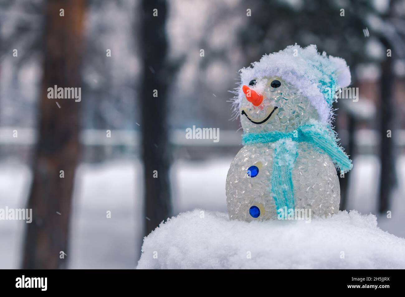 Winterpuppe Stockfotos und -bilder Kaufen - Alamy