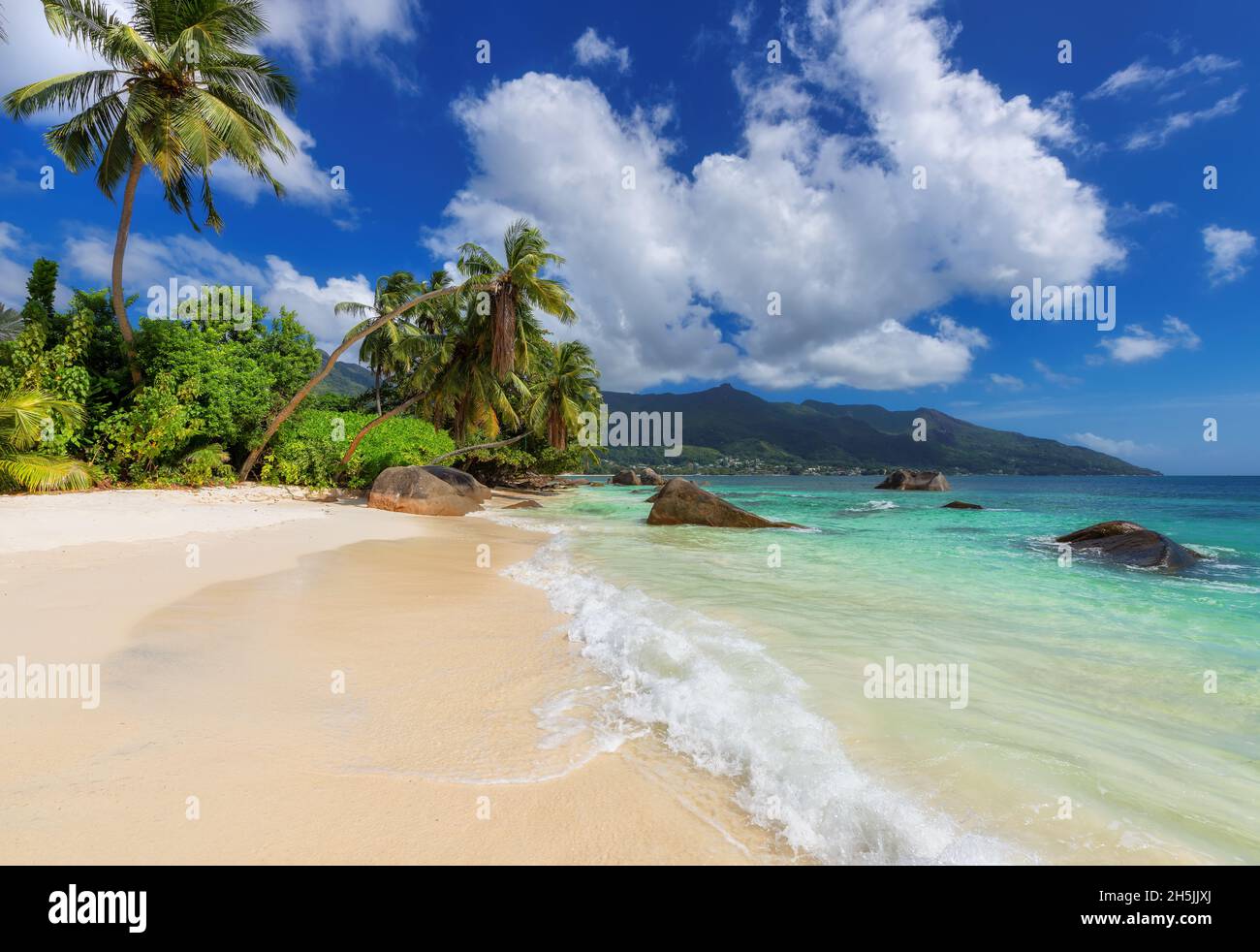 Exotischer sonniger Strand, Kokospalmen und tropisches Meer Stockfoto
